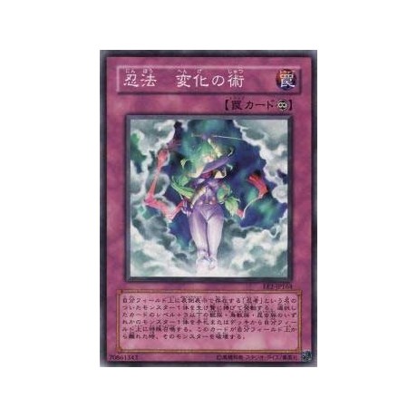 Ninjitsu Art of Transformation - EE2-JP164