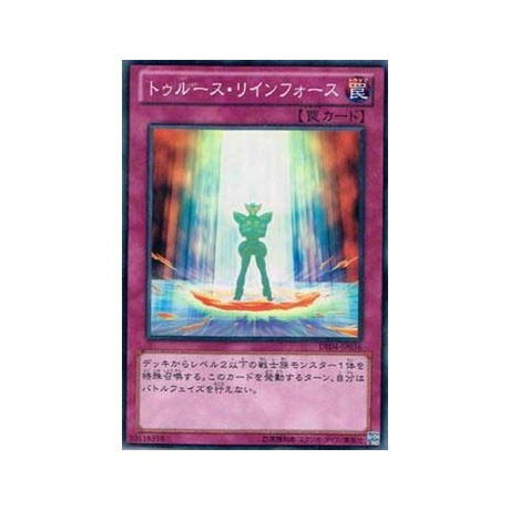 Reinforce Truth  - DE04-JP036