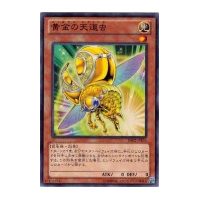 Golden Ladybug  - DE02-JP134