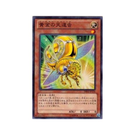 Golden Ladybug  - DE02-JP134