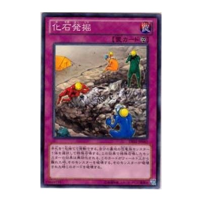 Fossil Excavation  - DE01-JP041