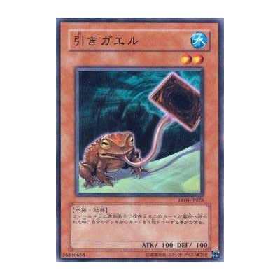 Poison Draw Frog  - EE04-JP028