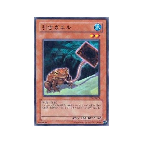 Poison Draw Frog  - EE04-JP028