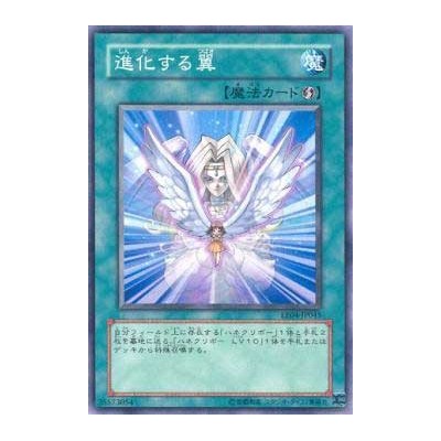 Transcendent Wings  - EE04-JP045