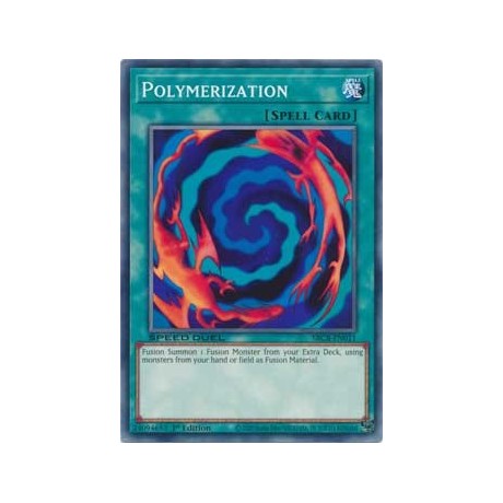 Polymerization - SBCB-EN011