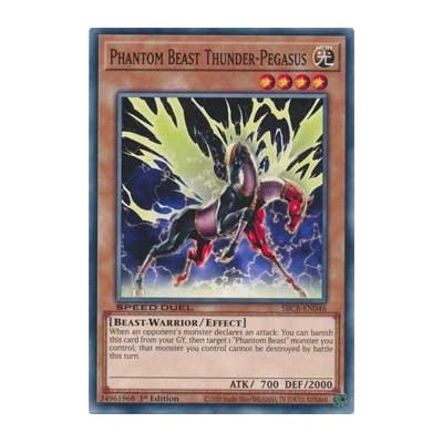 Phantom Beast Thunder-Pegasus - SBCB-EN046