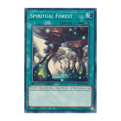 Spiritual Forest - SBCB-EN056