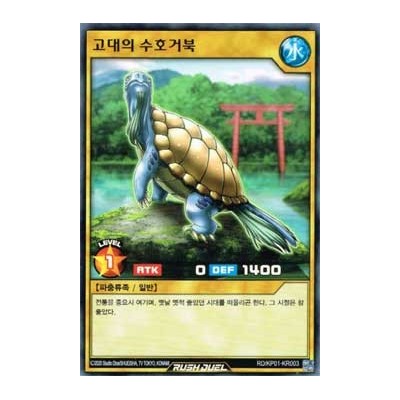 Turtle Keeper of Traditions - RD/KP01-KR003