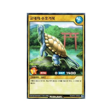 Turtle Keeper of Traditions - RD/KP01-KR003