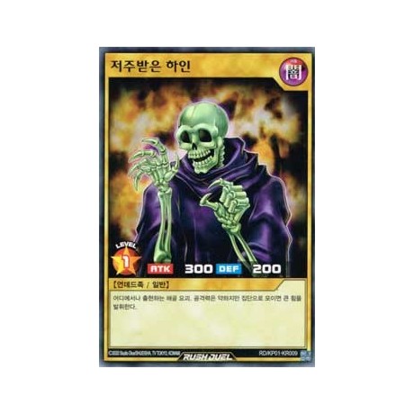 Skull Servant - RD/KP01-KR009