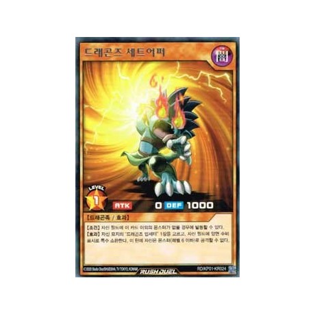 Dragon's Setupper - RD/KP01-KR024