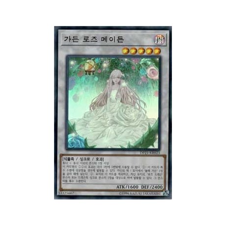 Garden Rose Maiden - DP21-KR023