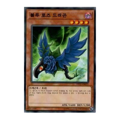 Blue Rose Dragon - DP21-KR031