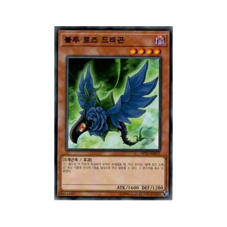 Blue Rose Dragon - DP21-KR031