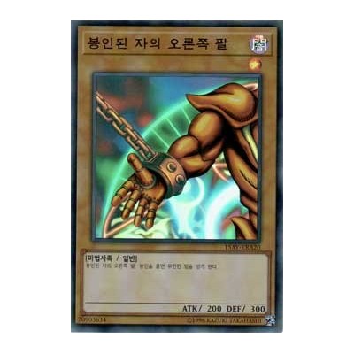 Right Arm of the Forbidden One - 15AY-KRA20