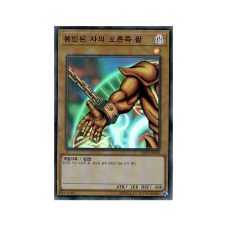 Right Arm of the Forbidden One - 15AY-KRA20