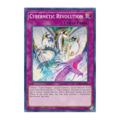 Cybernetic Revolution - LDS2-EN037