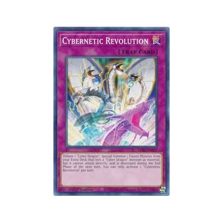 Cybernetic Revolution - LDS2-EN037