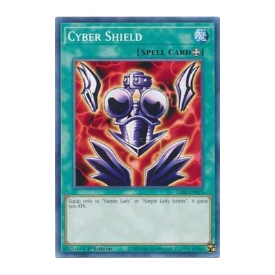 Cyber Shield - LDS2-EN079