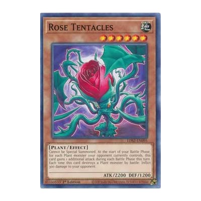 Rose Tentacles - LDS2-EN095