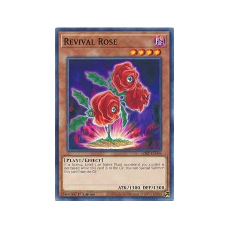 Revival Rose - LDS2-EN098