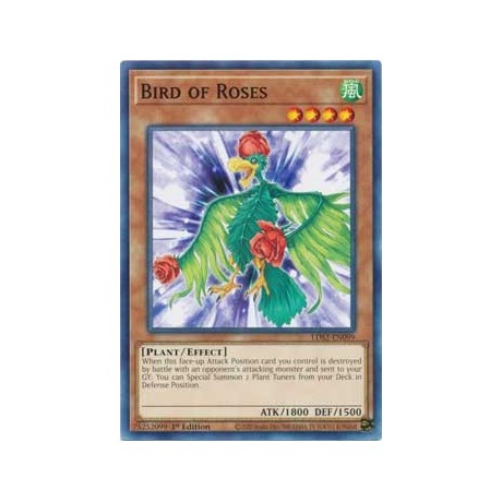 Bird of Roses - LDS2-EN099