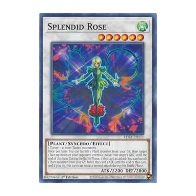 Splendid Rose - LDS2-EN111