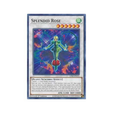 Splendid Rose - LDS2-EN111