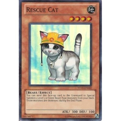 Rescue Cat - FET-EN033