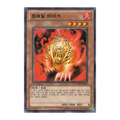 Flame Tiger - GAOV-KR039