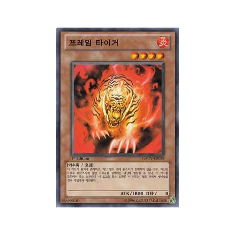 Flame Tiger - GAOV-KR039