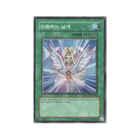 Transcendent Wings - CRV-KR045