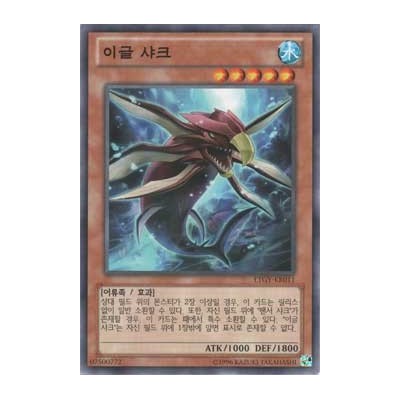 Eagle Shark - LTGY-KR011