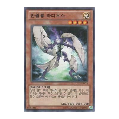 Radius, the Half-Moon Dragon - LTGY-KR014