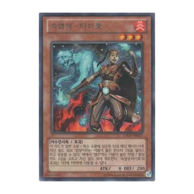 Brotherhood of the Fire Fist - Leopard - LTGY-KR027