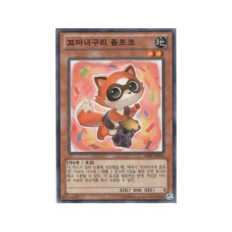 Baby Raccoon Ponpoko - SHSP-KR014