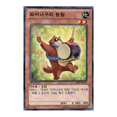 Baby Raccoon Tantan - SHSP-KR015