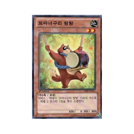 Baby Raccoon Tantan - SHSP-KR015