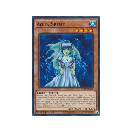 Aqua Spirit - SDFC-EN021