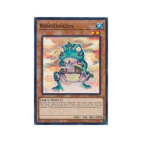 Ronintoadin - SDFC-EN023