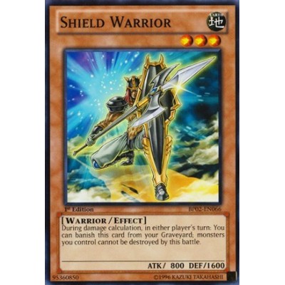 Shield Warrior - TDGS-EN005