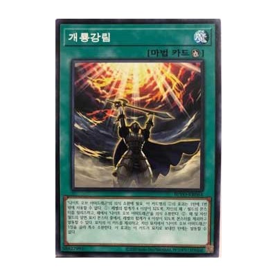 Armor Dragon Ritual - BLVO-KR064