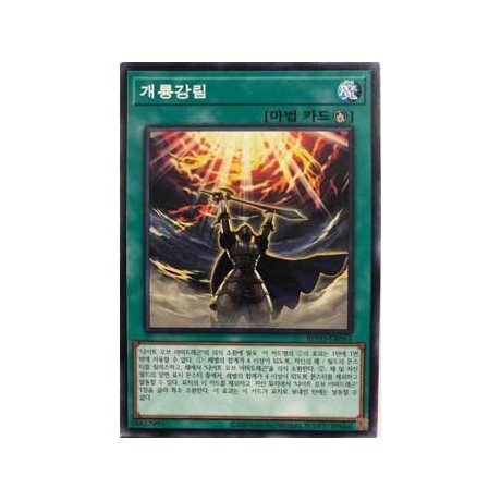 Armor Dragon Ritual - BLVO-KR064