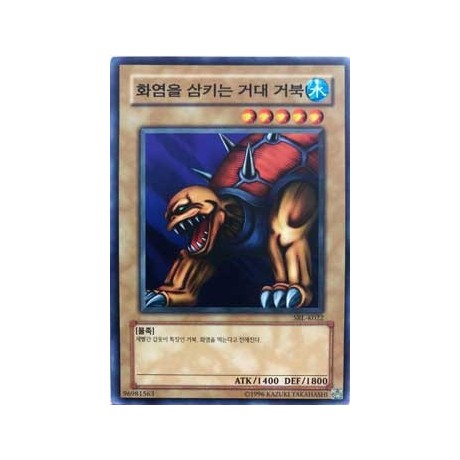 Giant Turtle Who Feeds on Flames - SRL-K022