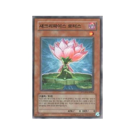 Samsara Lotus - PTDN-KR004