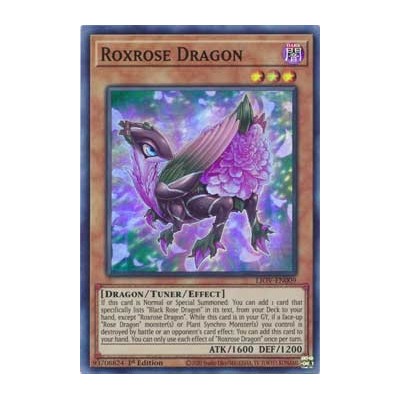 Roxrose Dragon - LIOV-EN009