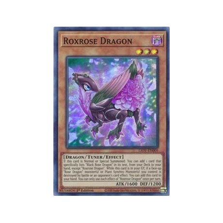 Roxrose Dragon - LIOV-EN009