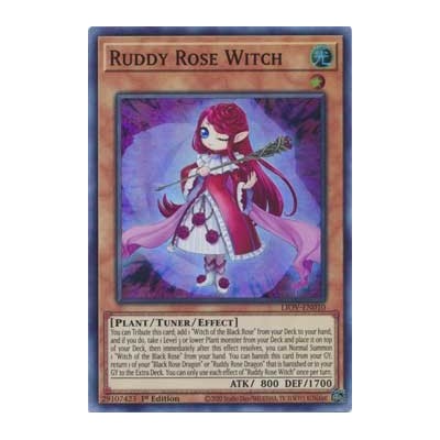 Ruddy Rose Witch - LIOV-EN010