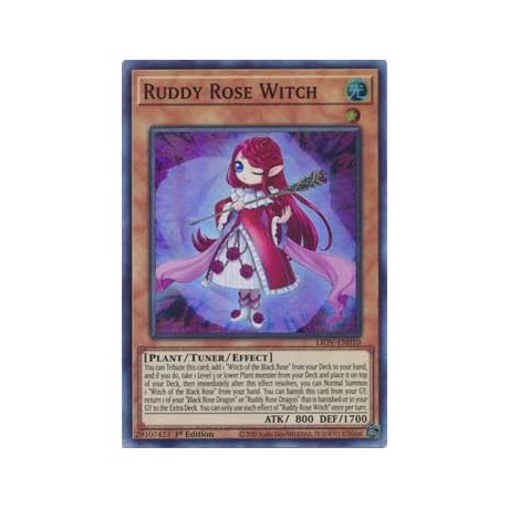 Ruddy Rose Witch - LIOV-EN010