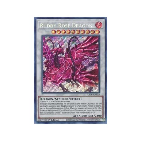 Ruddy Rose Dragon - LIOV-EN035